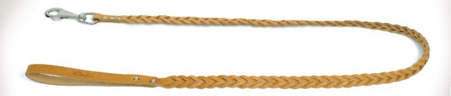 leatherneapolitanmastiffequipment