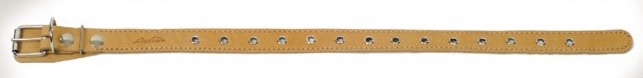 puppycollar